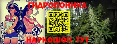 сатива Нарткала