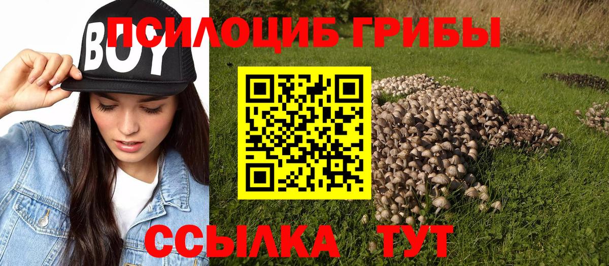Нягань  Галлюциногенные грибы мицелий  закладки  Вход с VPN 
